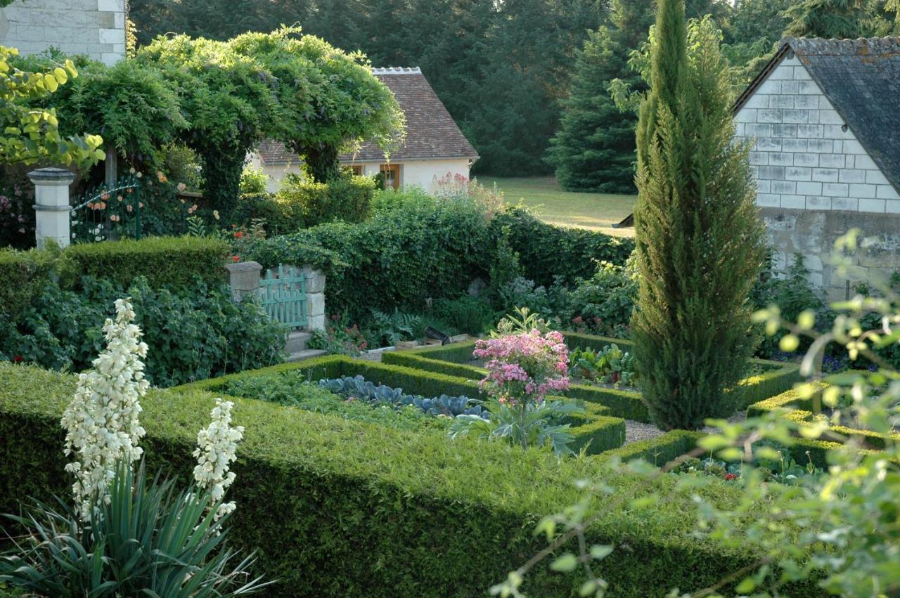 Le Chat Courant Villandry Eksteriør billede
