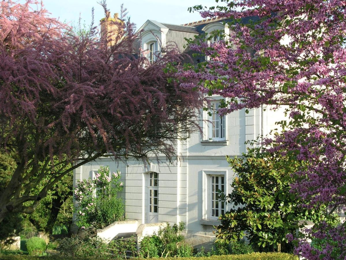 Le Chat Courant Villandry Eksteriør billede