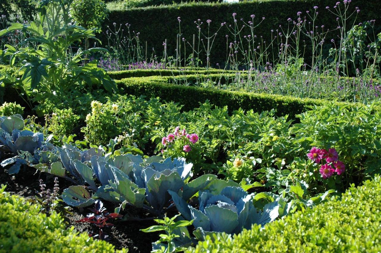 Le Chat Courant Villandry Eksteriør billede
